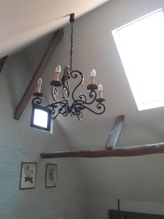 Butterfly Bed & Breakfast Brugge Dış mekan fotoğraf